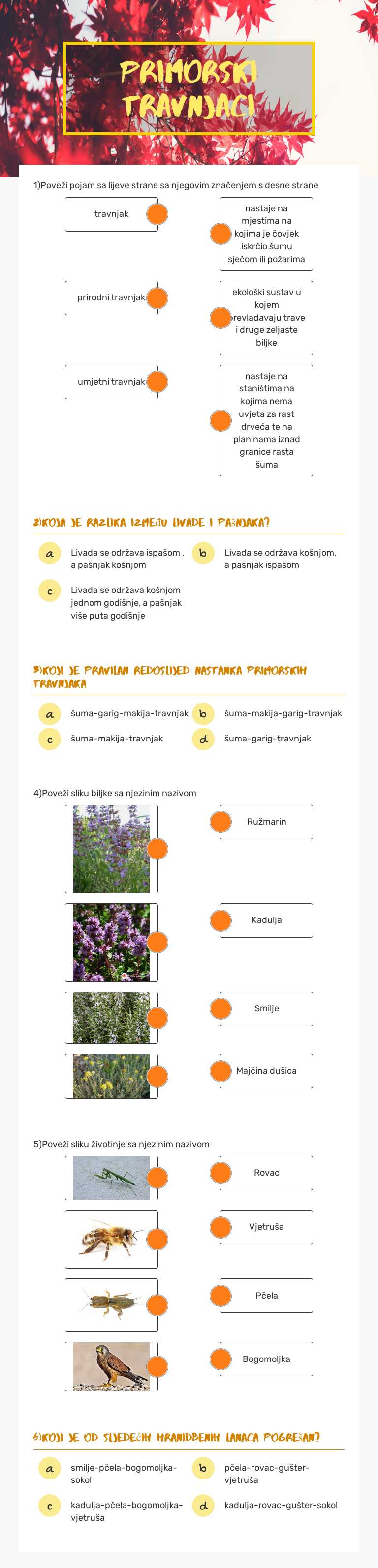 PRIMORSKI TRAVNJACI worksheet preview image