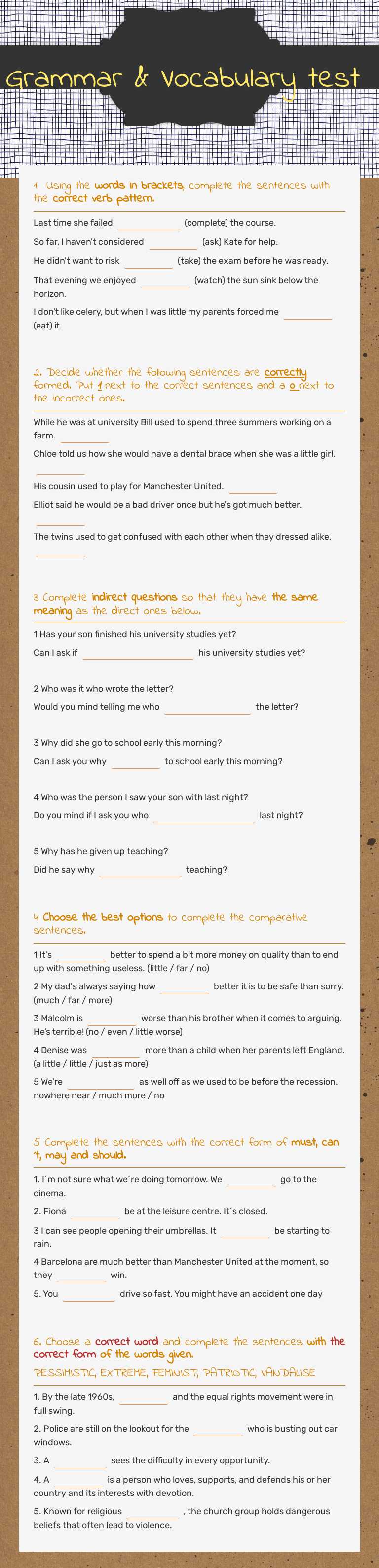 Grammar & Vocabulary test worksheet preview image