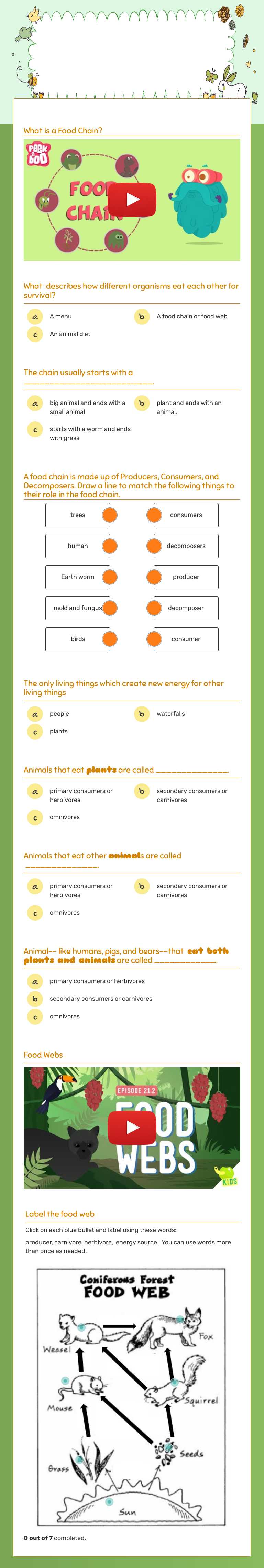 Food Chains Exploration worksheet preview image