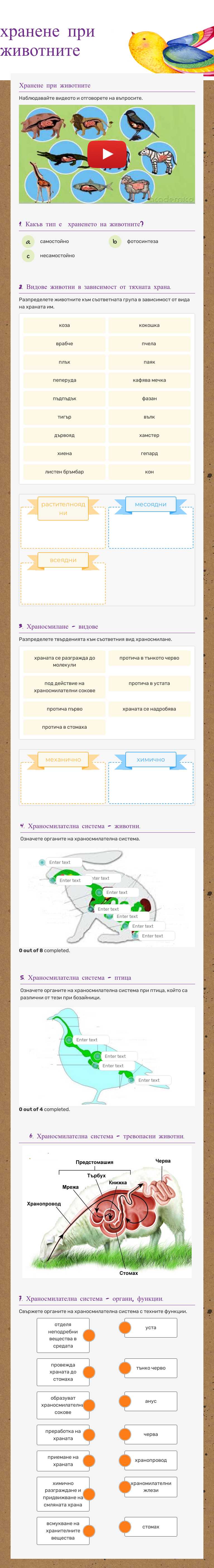 хранене при животните Grade 5 worksheet preview