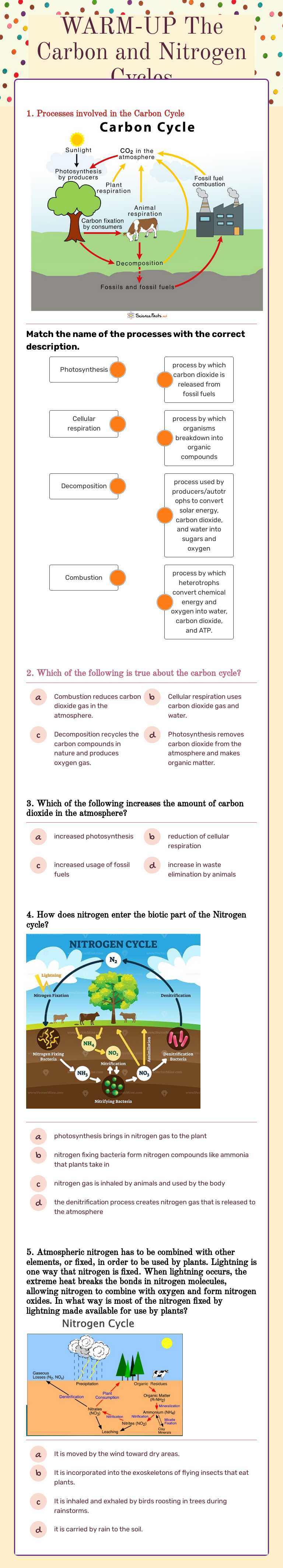 Carbon and Nitrogen Cycles worksheet preview image
