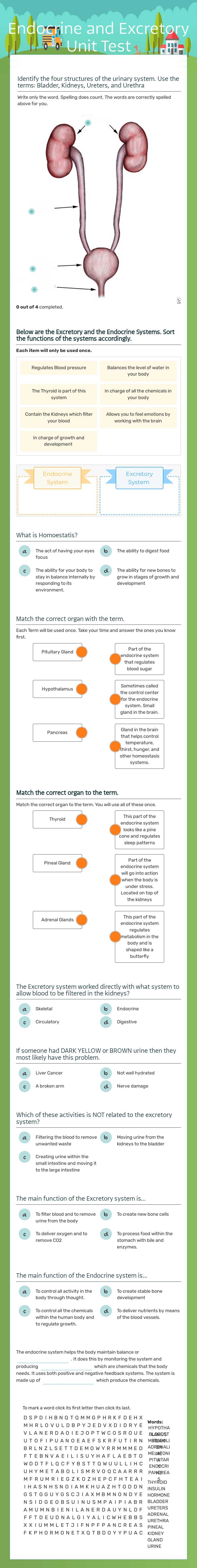 Endocrine and Excretory Unit Test worksheet preview image