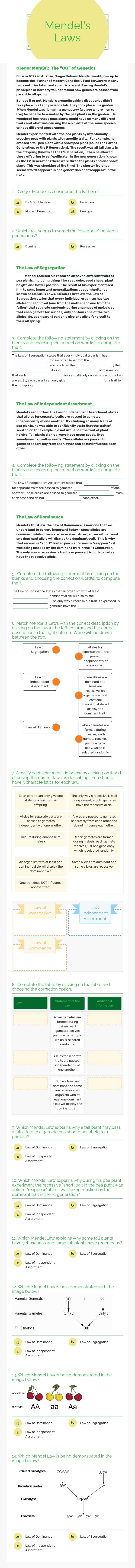 Mendel's
Laws worksheet preview image