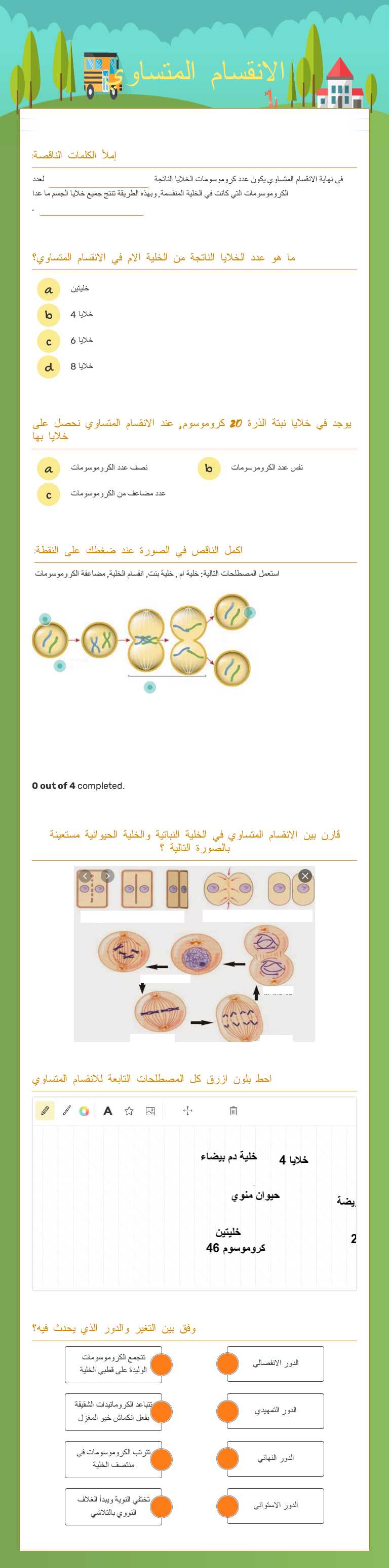 الانقسام المتساوي Grade 8 worksheet preview