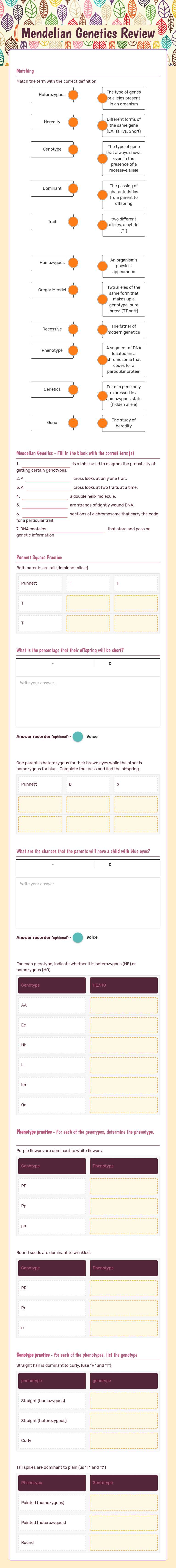 Mendelian Genetics Review worksheet preview image