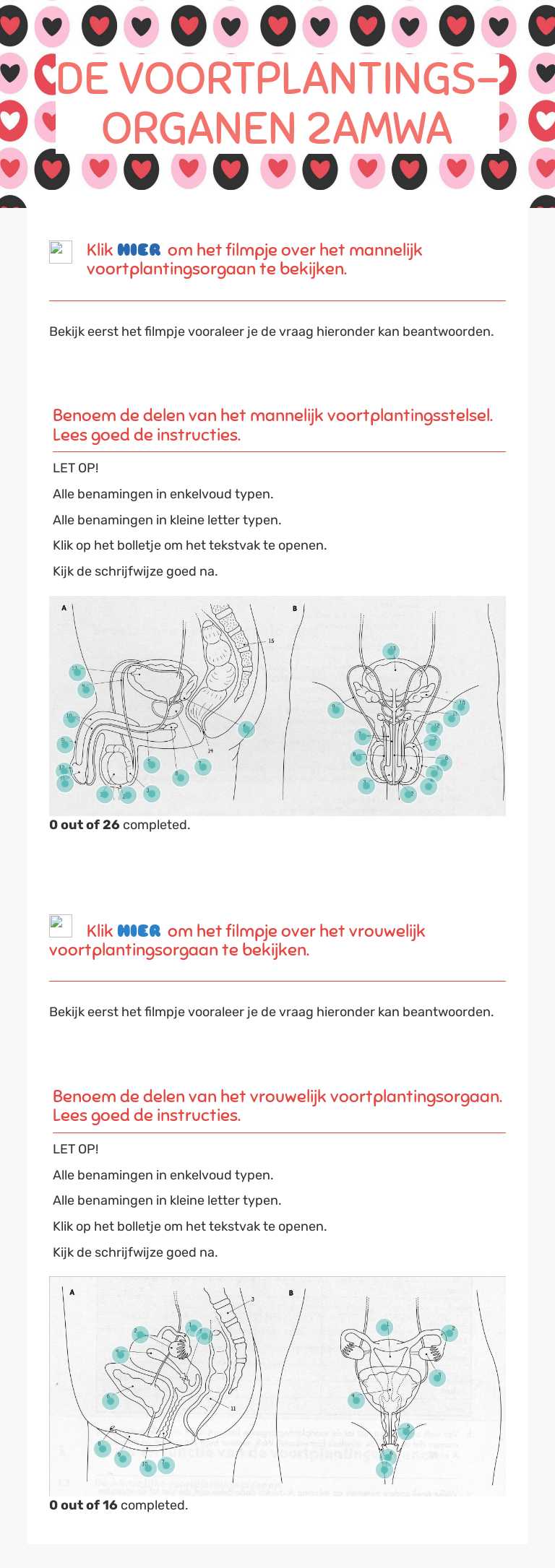 DE VOORTPLANTINGS-ORGANEN 2AMWA worksheet preview image