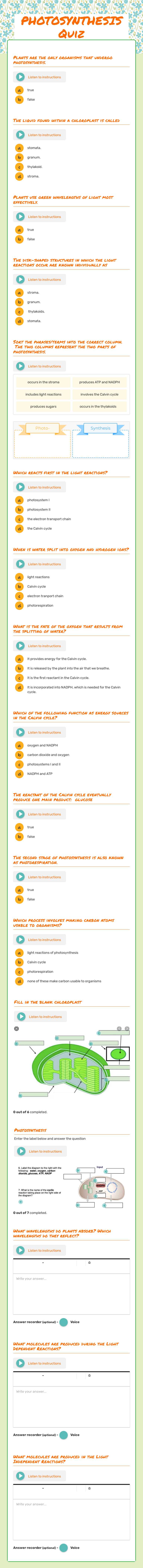 PHOTOSYNTHESIS Quiz worksheet preview image