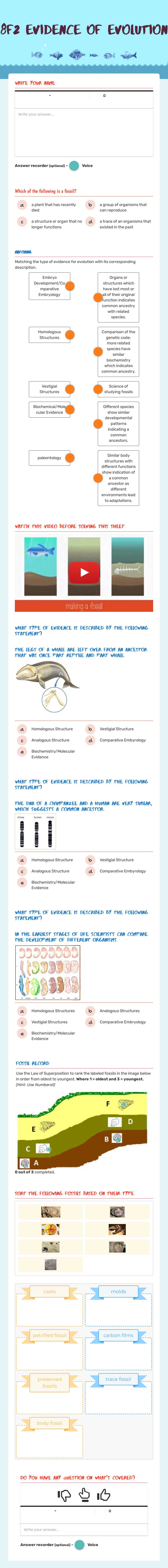 8F2 Evidence of evolution worksheet preview image