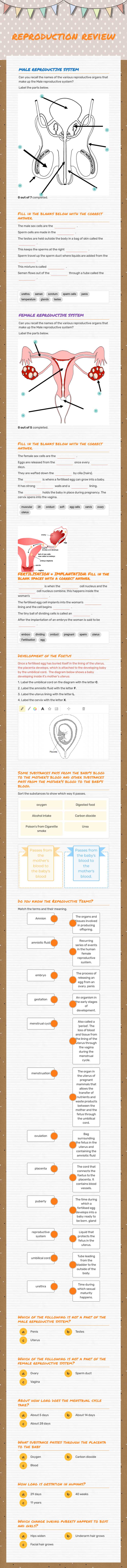 reproduction review worksheet preview image