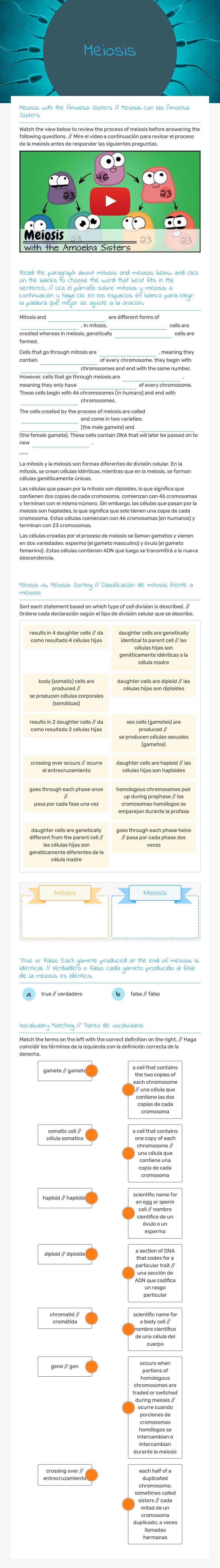 Meiosis worksheet preview image