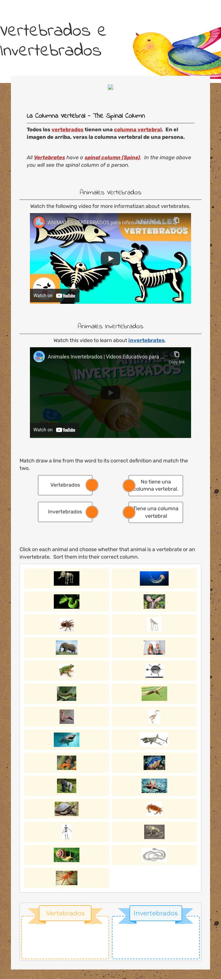 Vertebrados e Invertebrados worksheet preview image