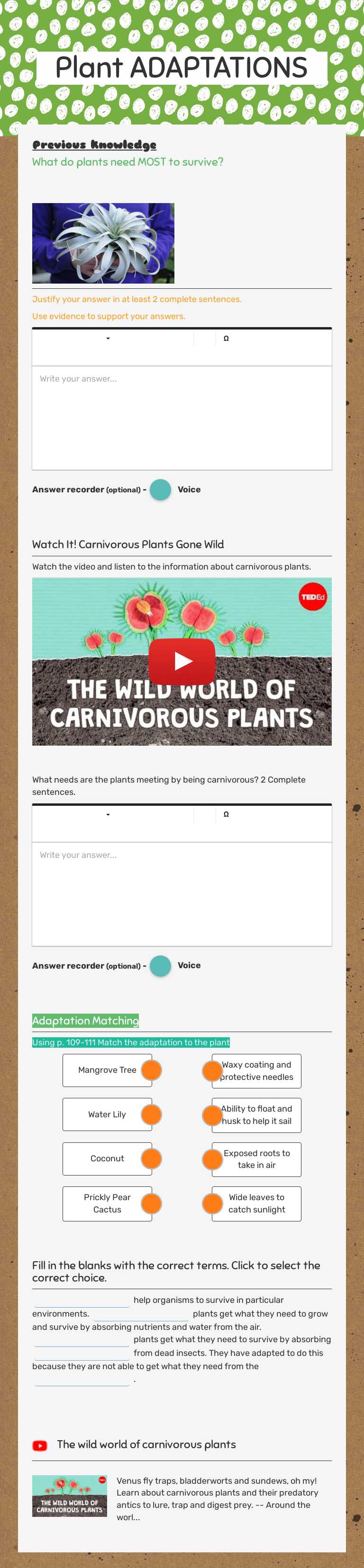 Plant ADAPTATIONS worksheet preview image