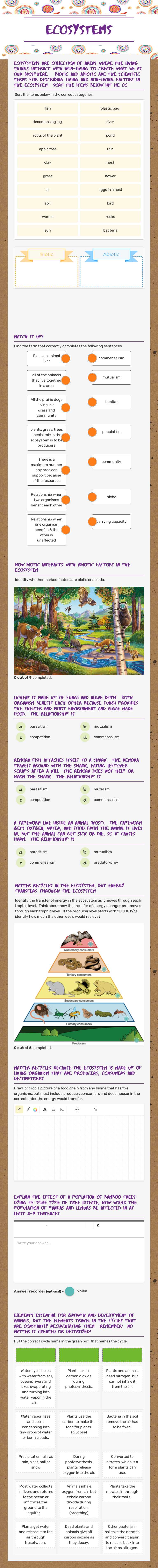 Ecosystems worksheet preview image