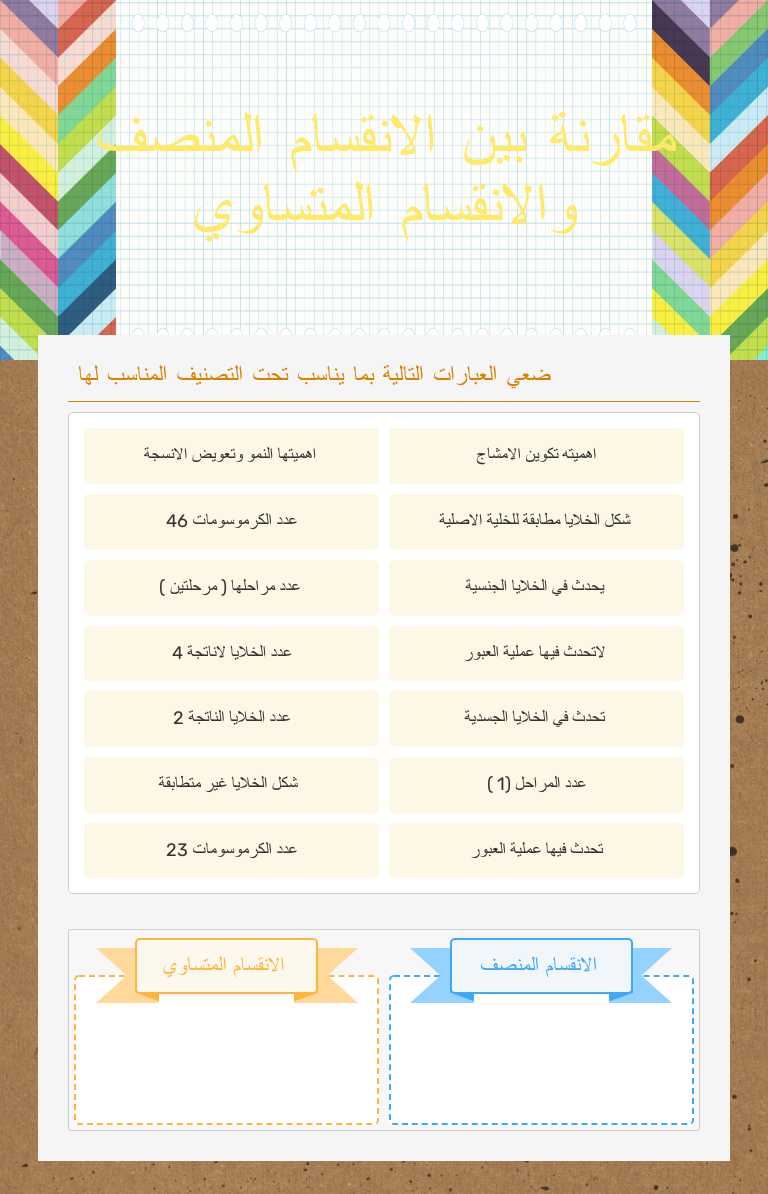 مقارنة بين الانقسام المنصف والانقسام المتساوي worksheet preview image