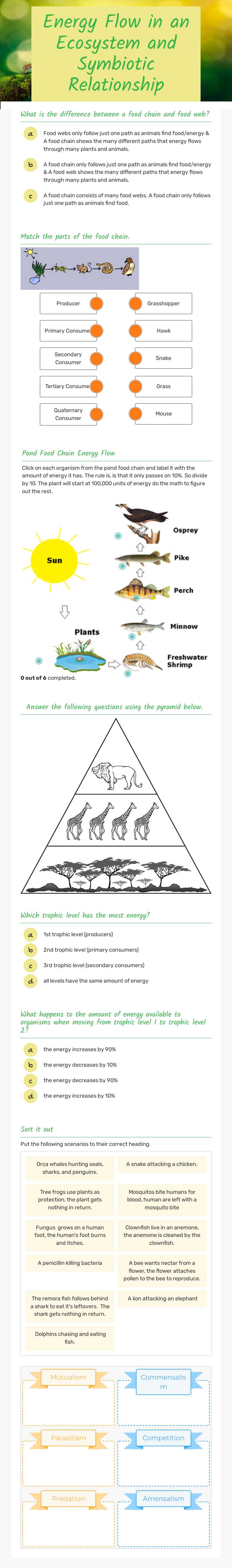 Energy Flow in an Ecosystem and Symbiotic Relationship worksheet preview image