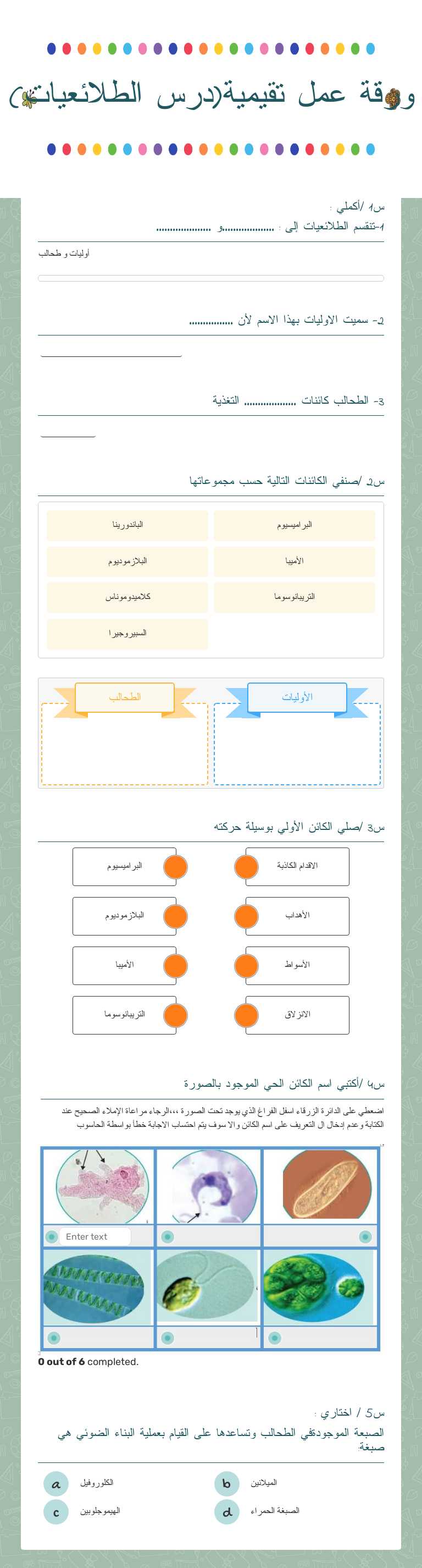 ورقة عمل تقيمية(مملكه الطلائعيات والفطريات) worksheet preview image