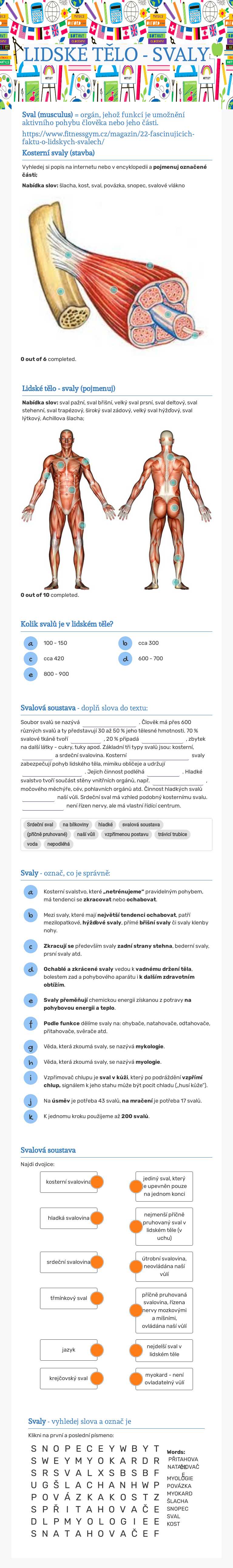 LIDSKÉ TĚLO -
SVALY worksheet preview image