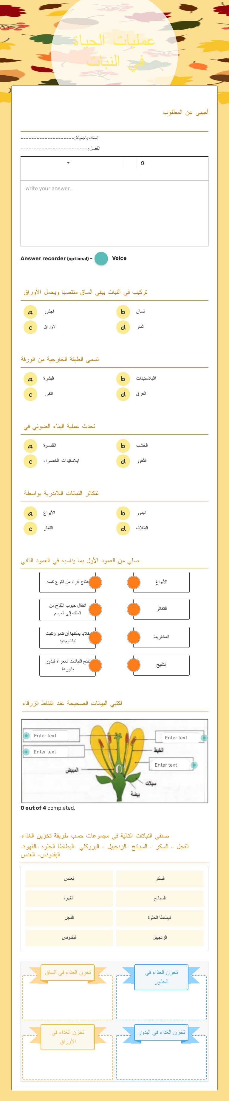 عمليات الحياة في النبات worksheet preview image