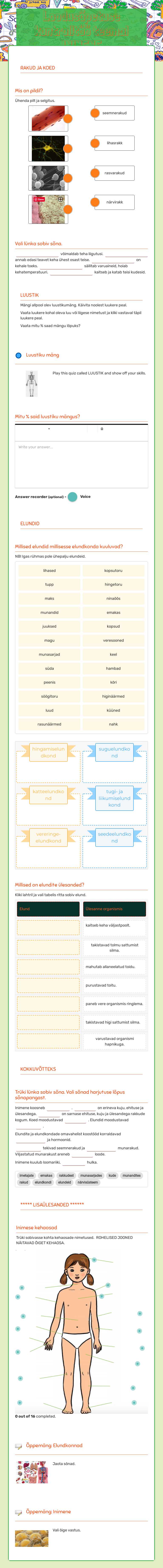 Loodusõpetuse kontrolltöö teemal INIMENE worksheet preview image