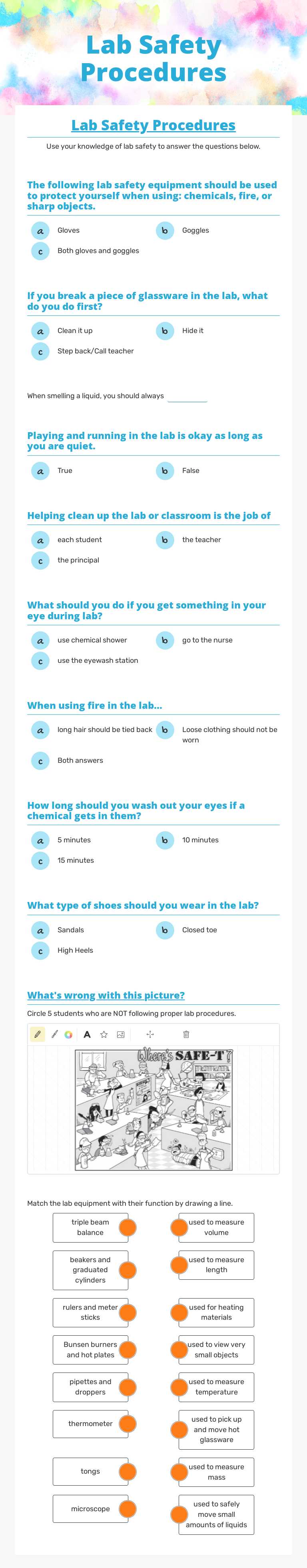 Lab Safety Procedures worksheet preview image