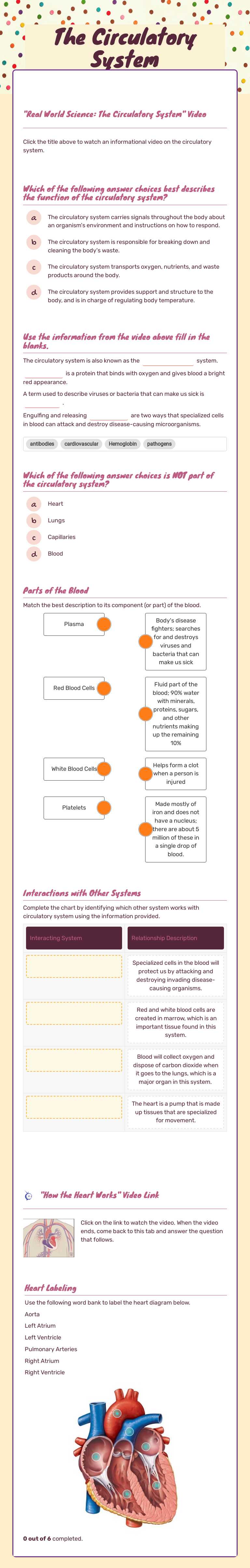 The Circulatory System worksheet preview image