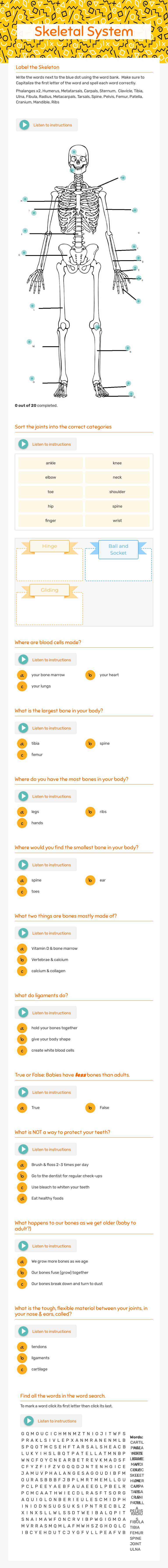 Skeletal System worksheet preview image