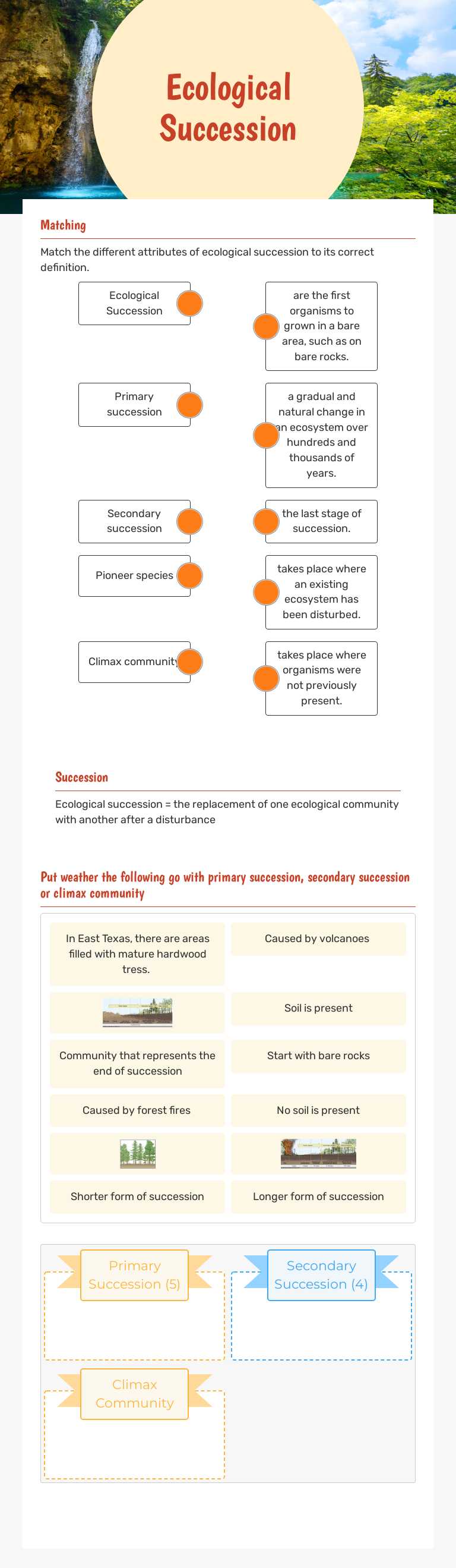 Ecological Succession worksheet preview image