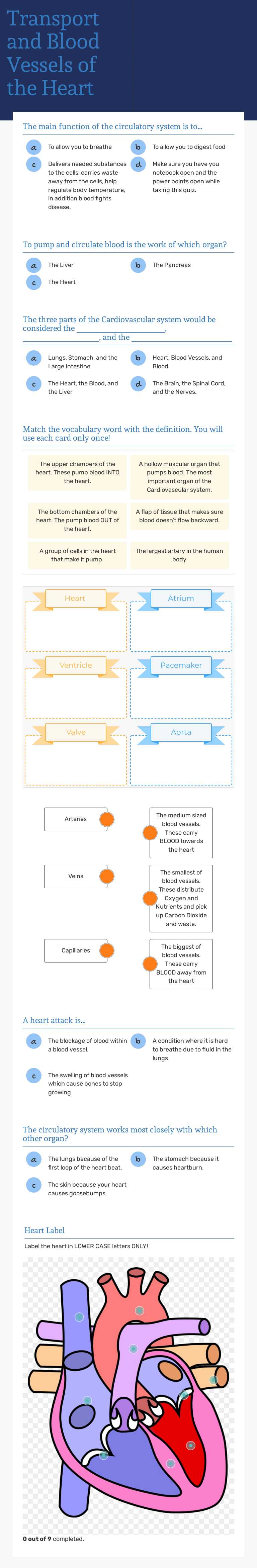 Transport and Blood Vessels of the Heart worksheet preview image