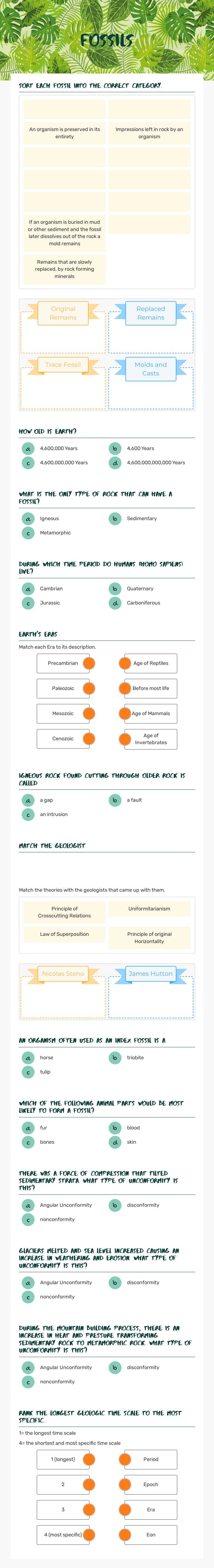 Fossils worksheet preview image
