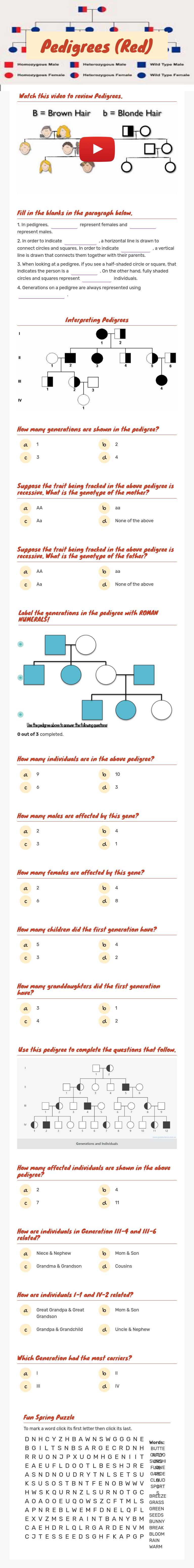 Pedigrees (Yellow) worksheet preview image