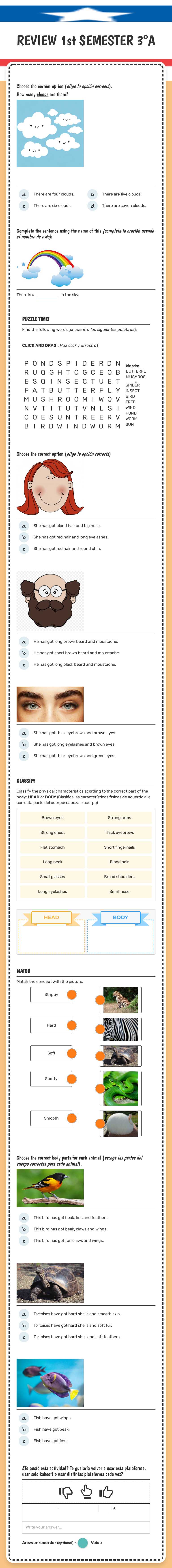 REVIEW 1st SEMESTER
3°A worksheet preview image