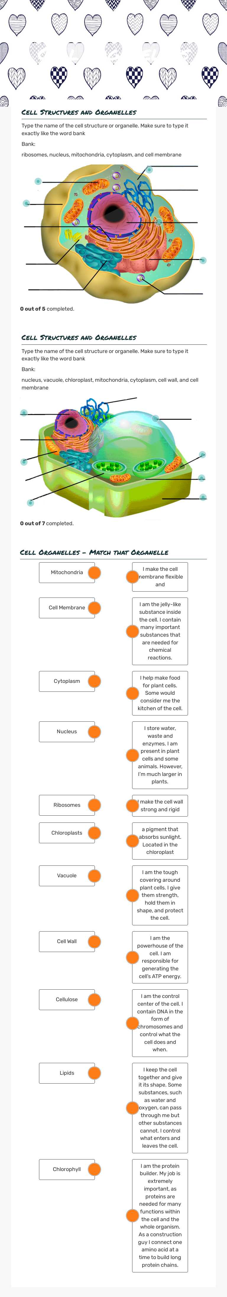 Cell  organelles Grade 8 worksheet preview