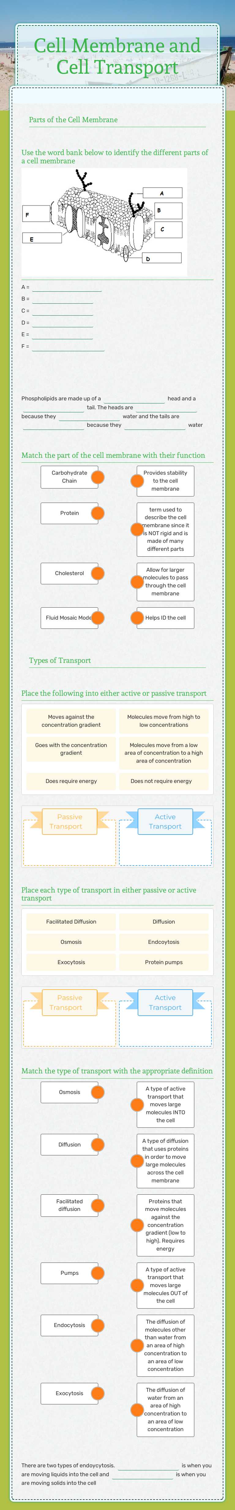 Cell Membrane and Cell Transport worksheet preview image