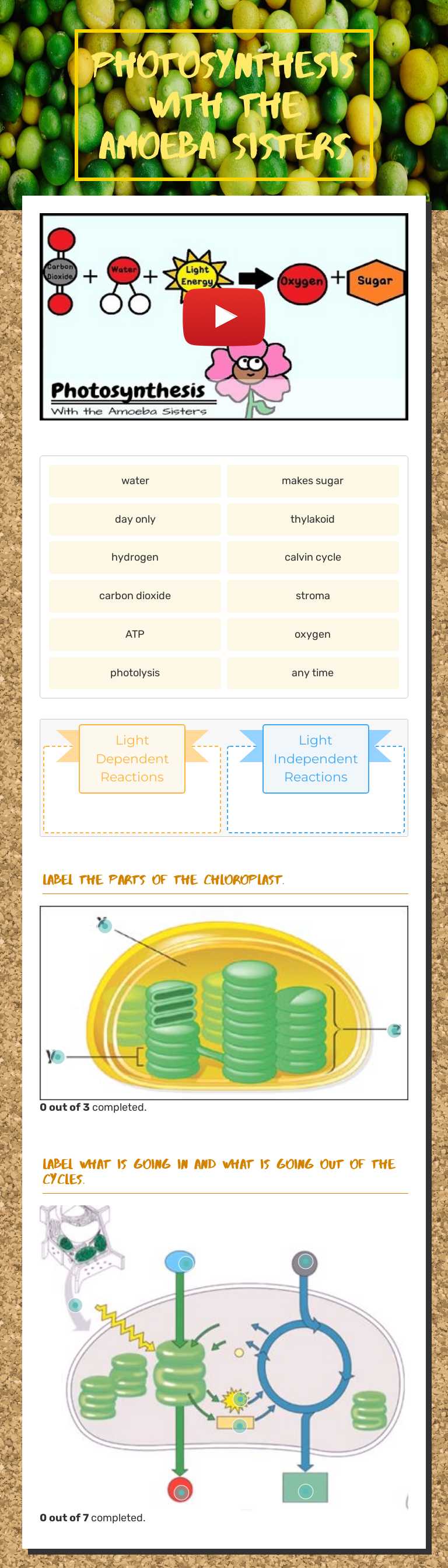 photosynthesis  
 with the Amoeba Sisters worksheet preview image