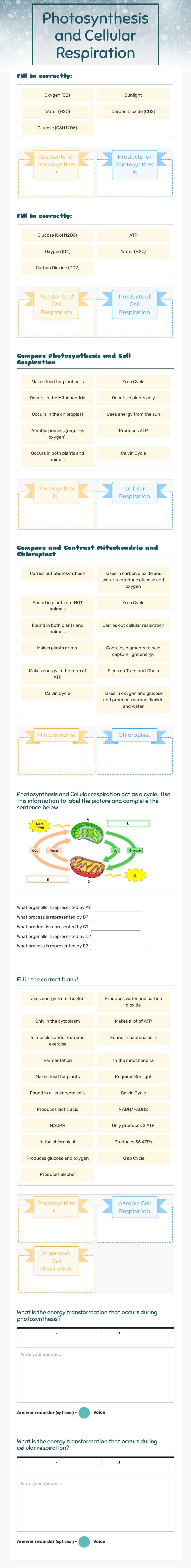 Photosynthesis and Cellular Respiration worksheet preview image