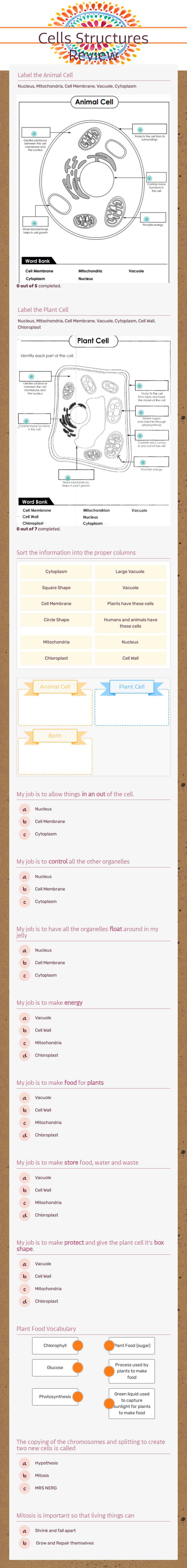 Cells Structures Review worksheet preview image
