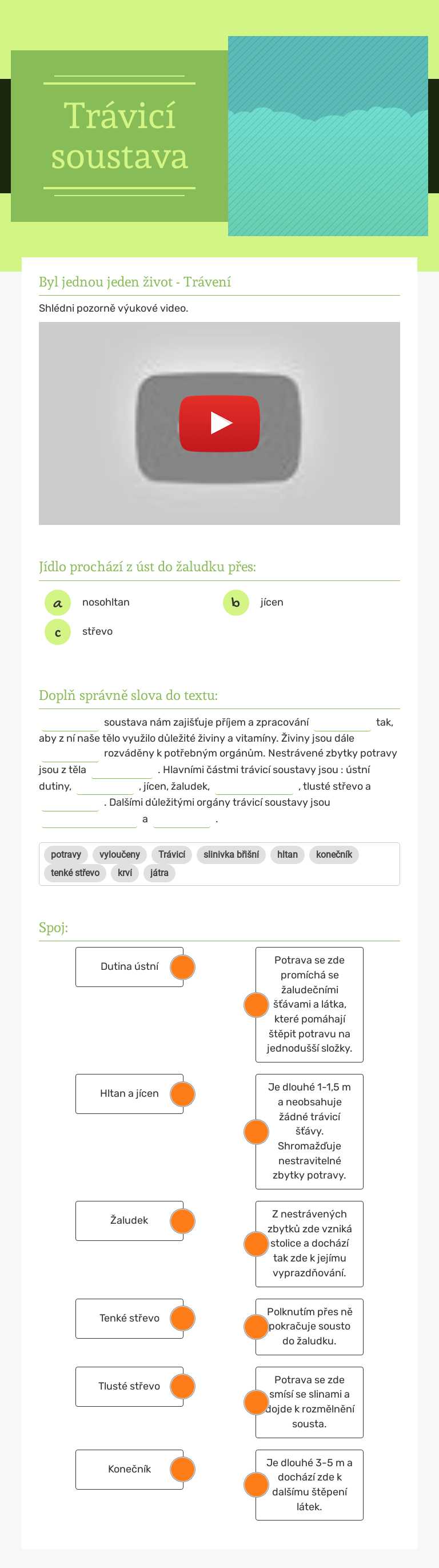 Trávicí soustava Grade 5 worksheet preview