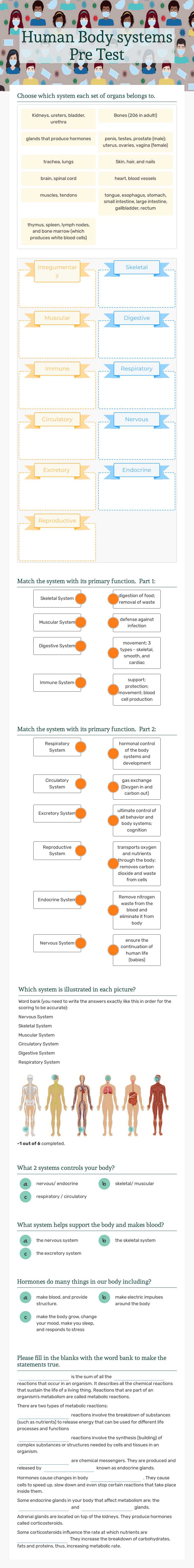 Human Body systems Pre Test worksheet preview image