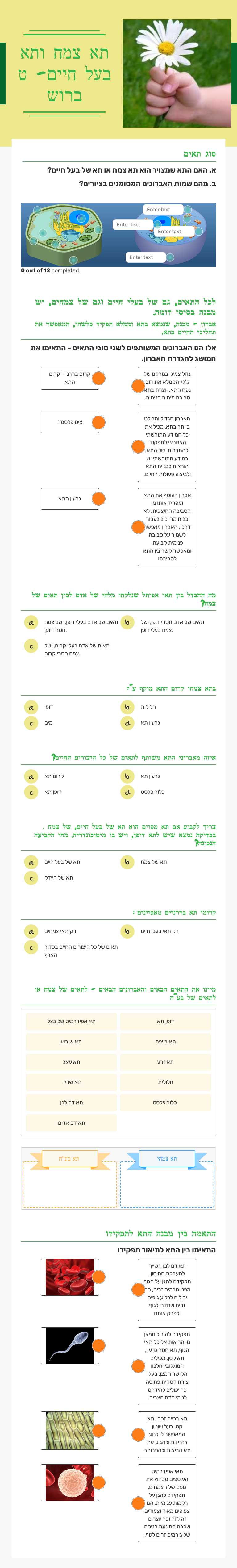 תא צמח ותא בעל חיים- ט ברוש worksheet preview image