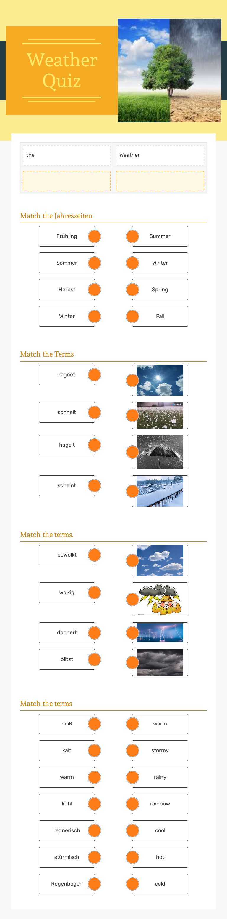 Weather Quiz worksheet preview image