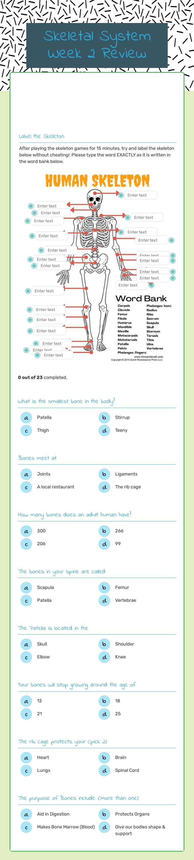 Skeletal System Week 2 Review worksheet preview image