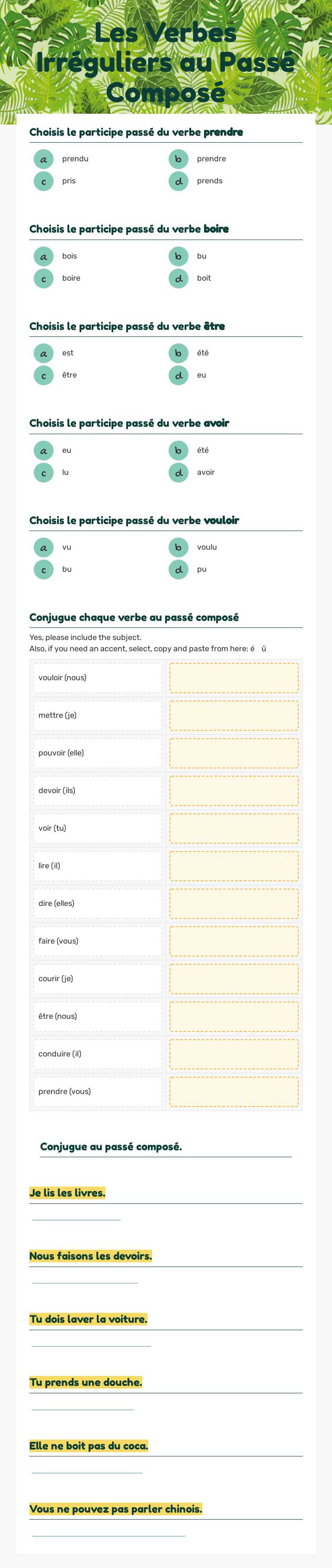 Les Verbes Irréguliers au Passé Composé worksheet preview image