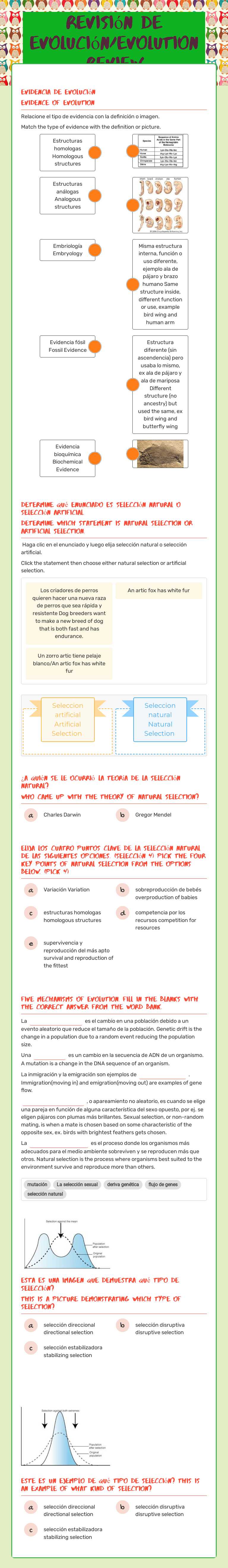 Revisión de evolución/Evolution Review worksheet preview image