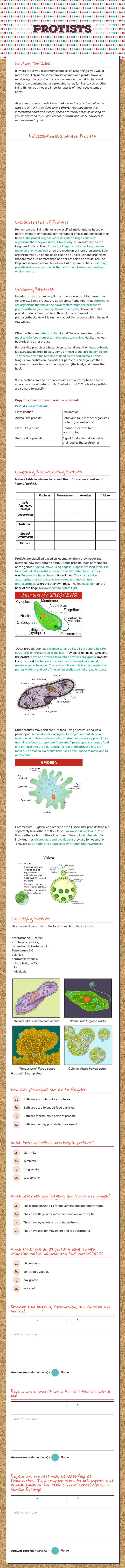 Protists worksheet preview image