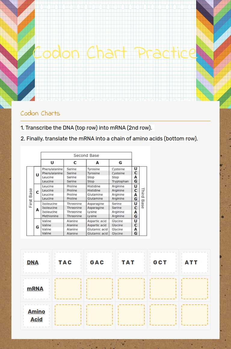 Codon Chart Practice Grade 9 worksheet preview
