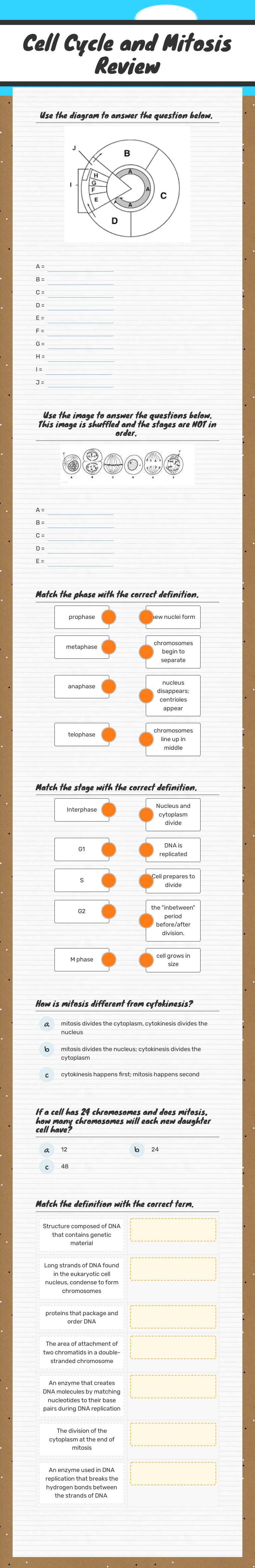 Cell Cycle and Mitosis Review worksheet preview image