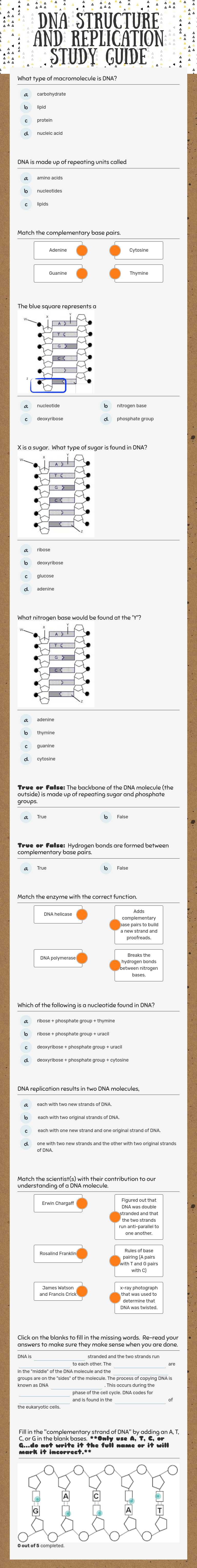 DNA Structure and Replication Study Guide Grade 9 worksheet preview