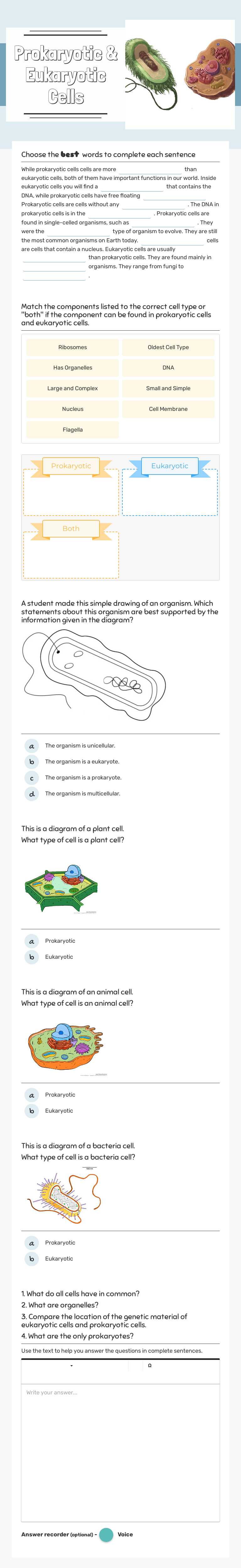 Prokaryotic & Eukaryotic Cells Grade 7 worksheet preview