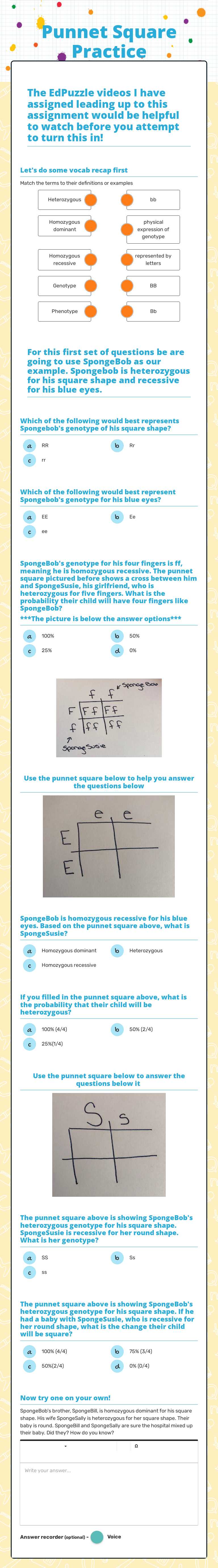 Punnet Square Practice worksheet preview image