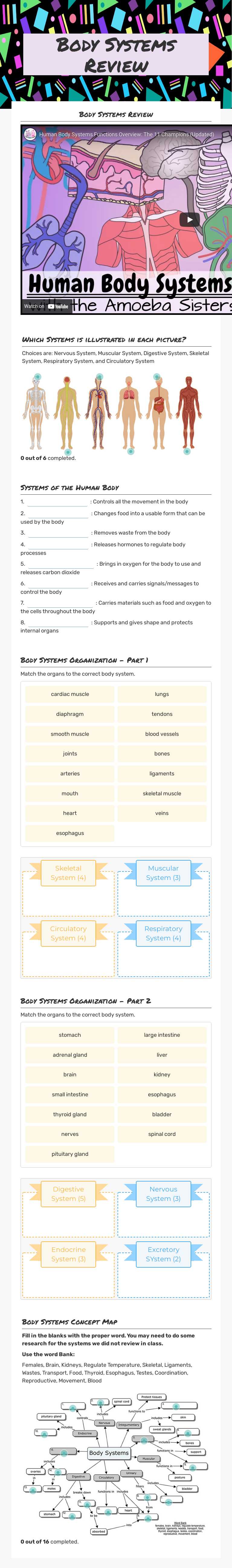 Body Systems Review worksheet preview image